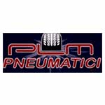 Plm Pneumatici